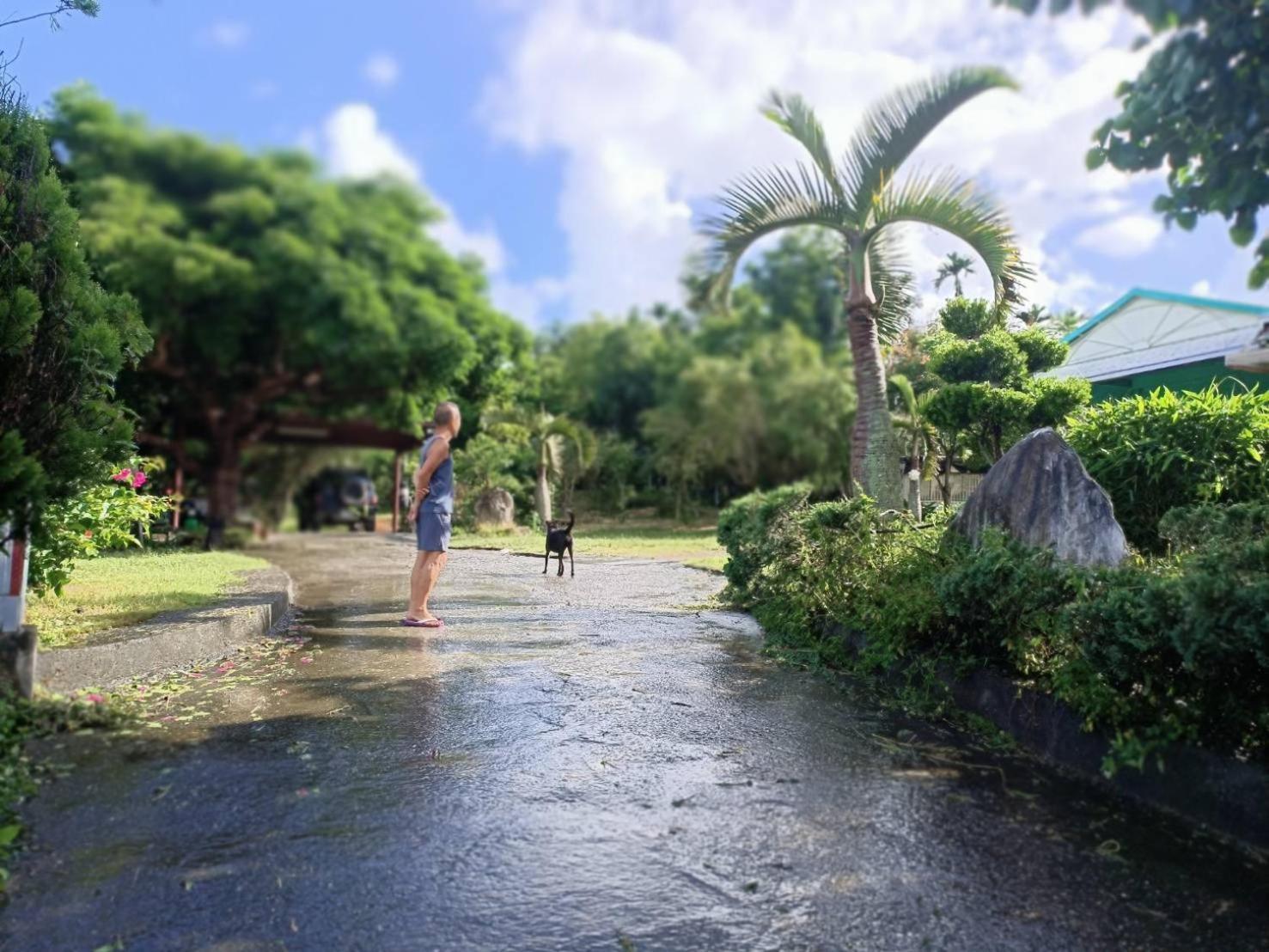 ホテル 十畝田山莊會館 池上郷 エクステリア 写真