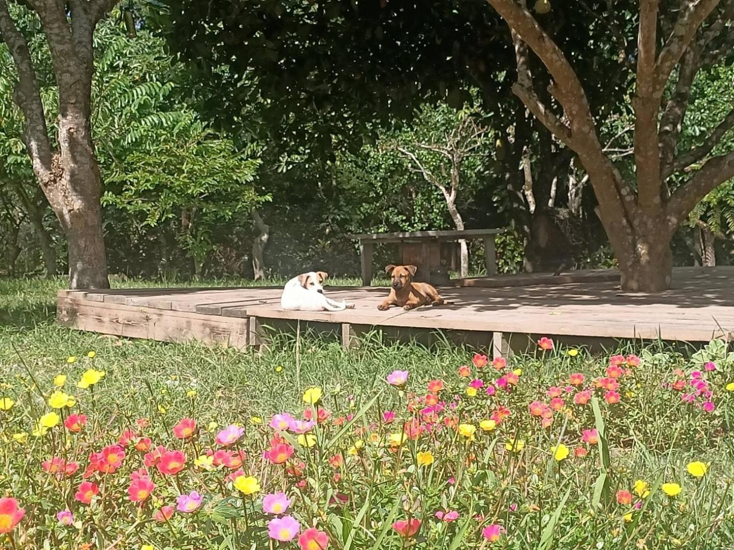 ホテル 十畝田山莊會館 池上郷 エクステリア 写真