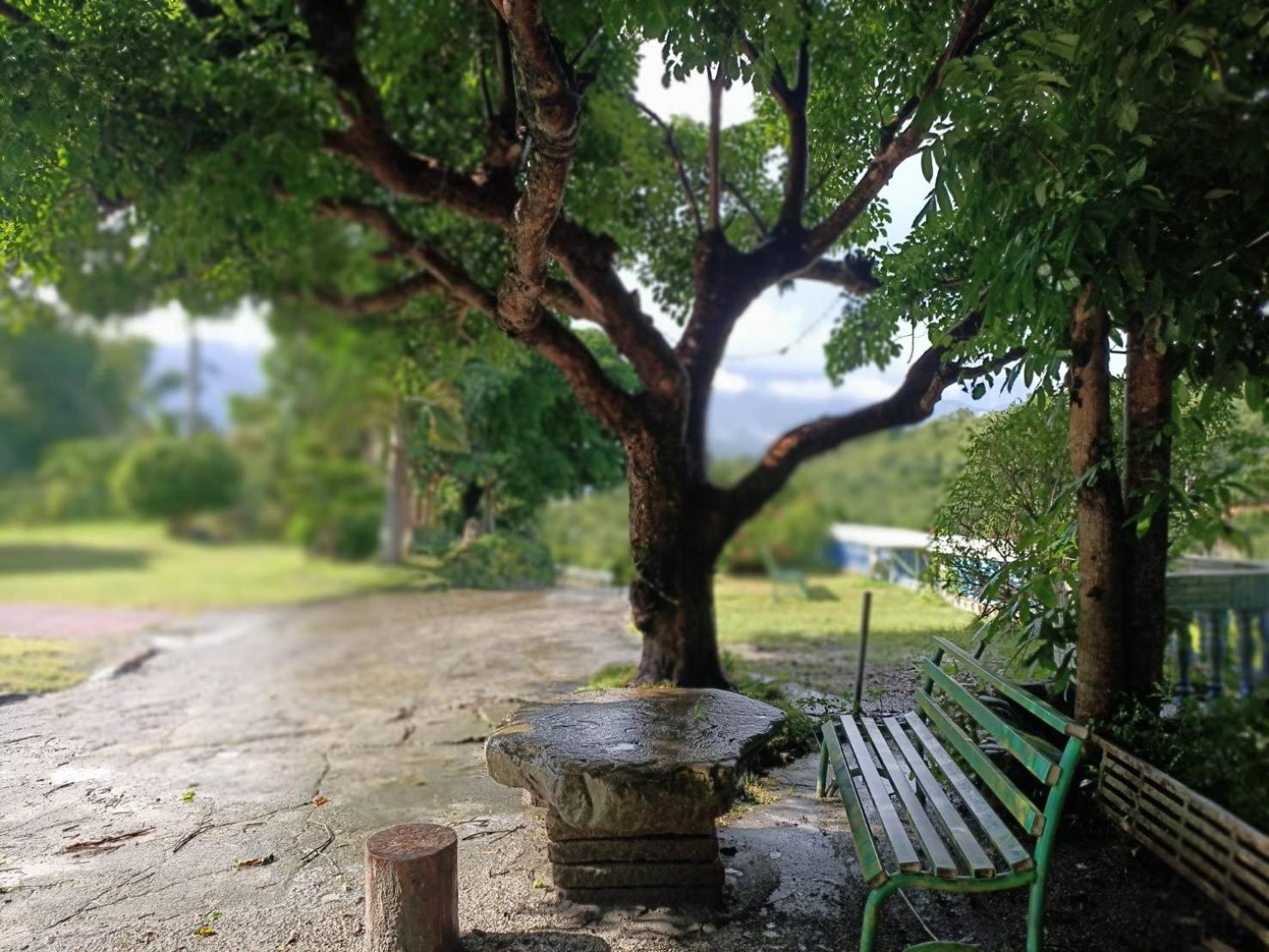 ホテル 十畝田山莊會館 池上郷 エクステリア 写真